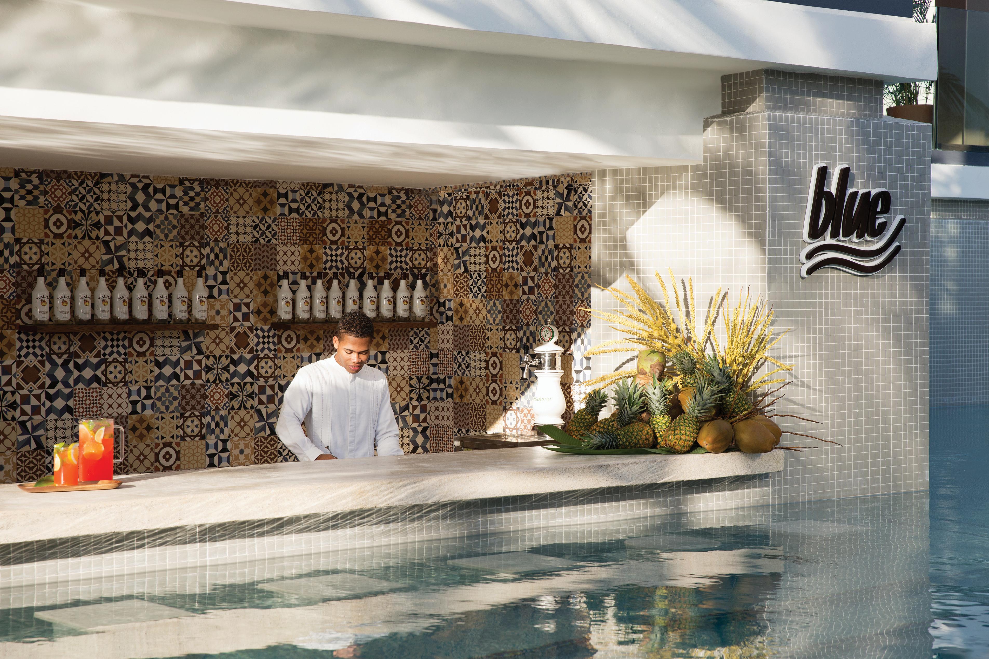 Hotel Excellence El Carmen (Adults Only) Punta Cana Zewnętrze zdjęcie