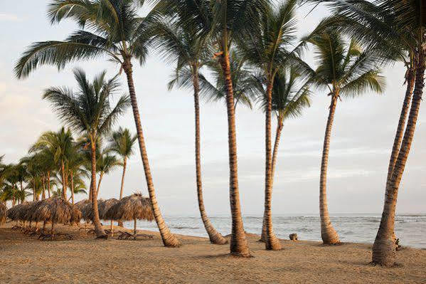 Hotel Excellence El Carmen (Adults Only) Punta Cana Zewnętrze zdjęcie